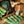Kit Fade La Chambre des Secrets - 5 Écheveaux