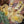 Merinos Superwash - Fingering - Baratheon