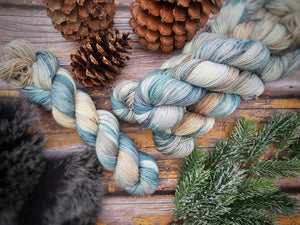 Merino Superwash Nylon Stellina - Fingering - Winterfell