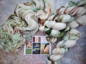 Merinos Superwash Nylon - Fingering - Terremer