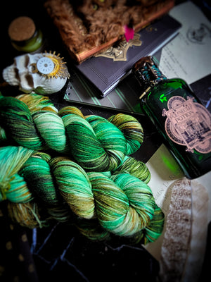 Slytherin Salazar Socks Kit
