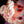 Merinos Superwash Nylon - Fingering - Moon Child