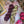 Pre-order Only You shawl kit (pattern not included)