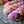 Merinos Superwash Nylon Stellina - Fingering - Starcourt