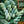 Merinos Superwash Nylon Stellina - Fingering - Lothlorien