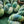 Merinos Superwash Nylon Stellina - Fingering - Lothlorien