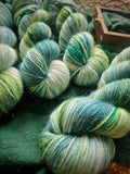 Merinos Superwash Nylon Stellina - Fingering - Lothlorien
