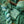 Merinos Superwash Nylon Stellina - Fingering - Lothlorien