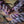 Kid Mohair et Soie - Lace - Saint-Germain