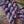 Kid Mohair et Soie - Lace - Saint-Germain