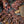 Kid Mohair et Soie - Lace - Xaden