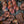Kid Mohair et Soie - Lace - Xaden