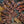 Kid Mohair et Soie - Lace - Xaden
