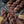 Merinos Superwash Nylon - Fingering - Xaden