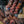 Kid Mohair et Soie - Lace - Xaden