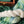 Lothlórien Sock Kit