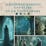 Merinos Superwash - DK - Lothlorien (Précommande - Livraison Juin)