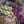 Leloa shawl kit (without pattern) - Dyed to order