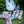 Merinos Superwash - Fingering - Totoro
