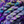 Kid Mohair et Soie - Lace - Demon