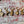 Lot de 5 anneaux marqueurs Indiana Jones