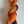 Merinos Superwash Nylon Stellina - Fingering - Wizzard Wheeze