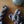Merinos Superwash - Fingering - Sansa