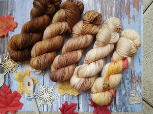 Mystic Falls Fade Kit - 5 Skeins