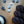 Merinos Superwash Nylon Stellina - Fingering - Dark Matter