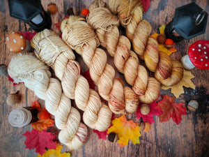 Mystic Falls Fade Kit - 5 Skeins