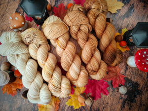 Mystic Falls Fade Kit - 5 Skeins