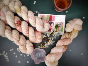 Merinos Superwash Nylon Stellina - Fingering - Princesse Kaguya