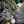 Kid Mohair et Soie - Lace - Patrick