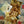 Sock Blank Merinos Superwash Nylon - Fingering - Mystic Falls