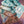 Sock Blank Merinos Superwash Nylon - Fingering - Hope