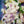 Merinos Superwash Nylon Stellina - Fingering - Daphné