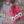 Home Sweet Home shawl kit (without pattern) - Dyed to order