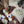 Merinos Superwash Nylon - Fingering - Mr Dusse