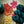 Merinos Superwash - Fingering - Corben